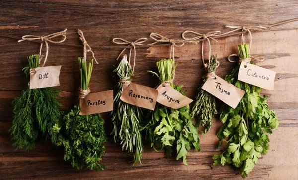 Cinq astuces pour conserver ses herbes aromatiques